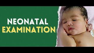 Neonatal Examination: A Comprehensive Guide