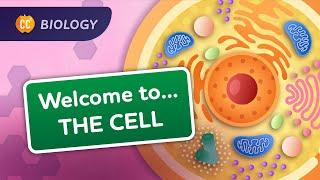 The Origins and Structure of Cells
