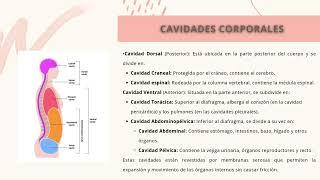 Fundamentos de Anatomía y Lenguaje Médico