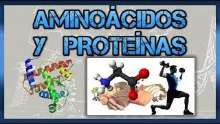 Comprehensive Study Notes on Amino Acids and Proteins