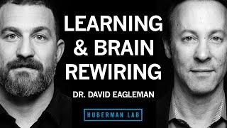 Neuroplasticity and Brain Function