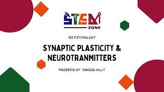 Understanding Synaptic Plasticity and Neuronal Communication