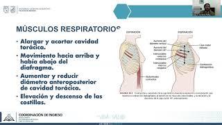 Transporte de Oxígeno y Fisiología Cardíaca