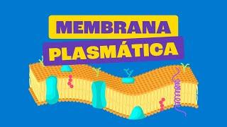 Estrutura e Função da Membrana Plasmática
