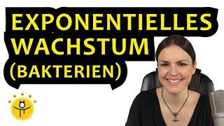 Exponentielles Wachstum von Bakterien