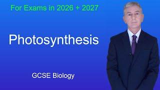 Photosynthesis: The Process and Its Influencing Factors