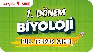 Biyoloji Dersi Tam Tekrar Notları