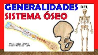 Generalidades del Sistema Esquelético