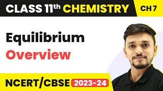 Understanding Chemical Equilibrium