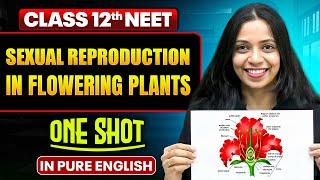 Sexual Reproduction in Flowering Plants