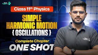 Exploring Simple Harmonic Motion