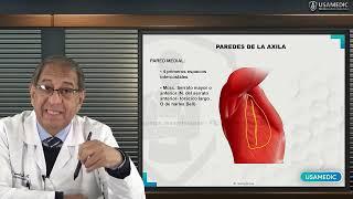 Anatomía del Miembro Superior y la Región Axilar